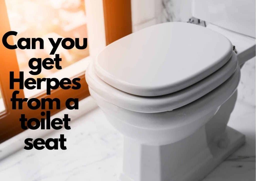 Can you get Herpes from a toilet seat