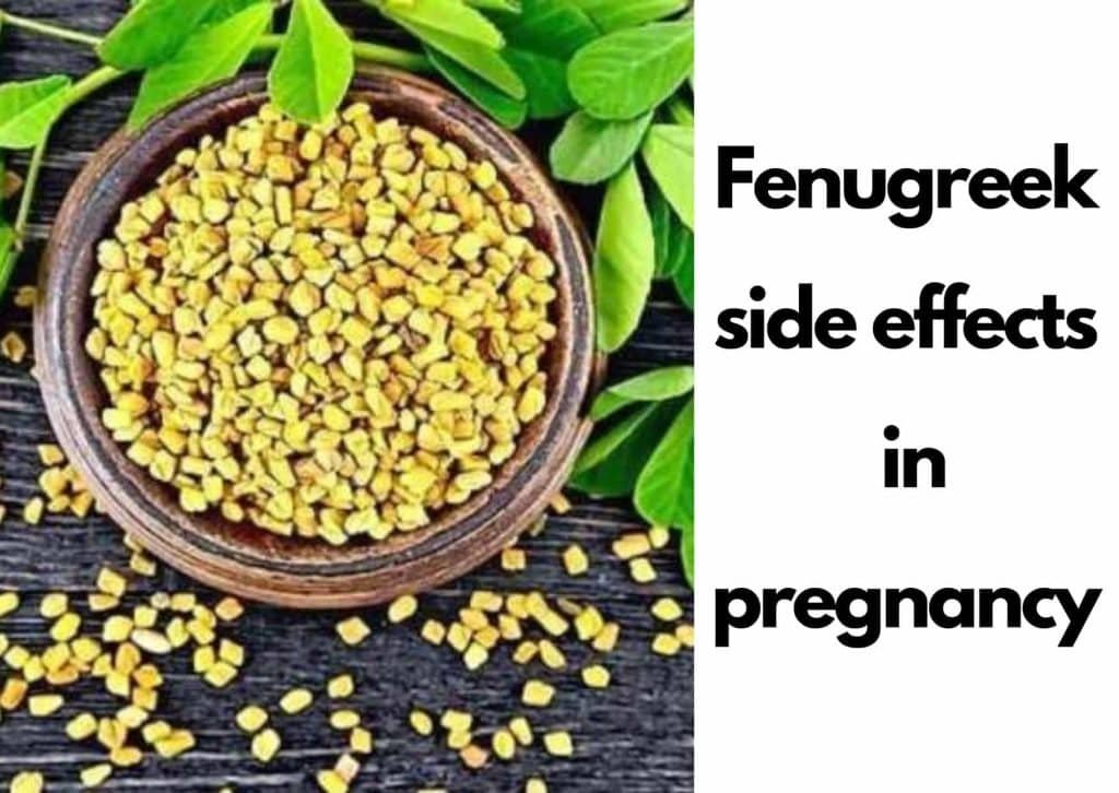 Fenugreek