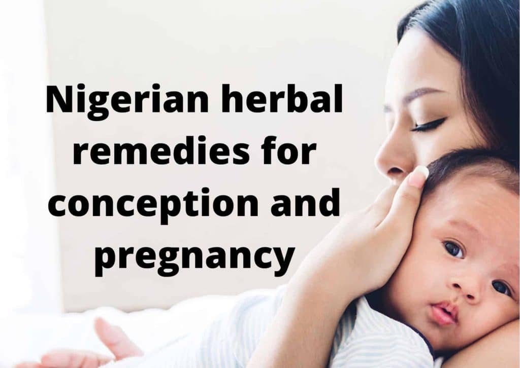 Nigerian herbal remedies for conception and pregnancy