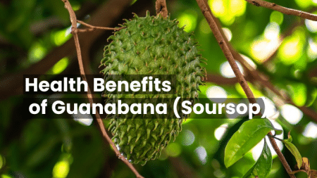 Health Benefits of Guanabana Soursop