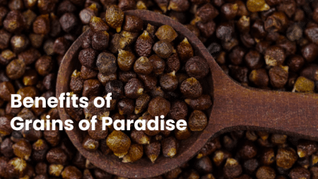 Benefits of Grains of Paradise