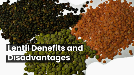 Lentil Denefits and Disadvantages