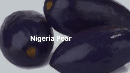 Nigeria Pear