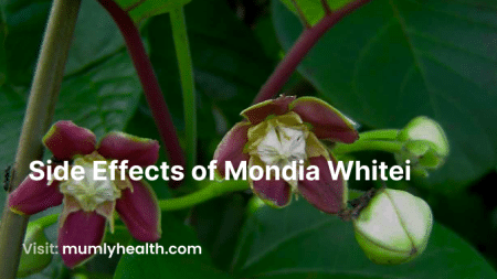 Side Effects of Mondia Whitei